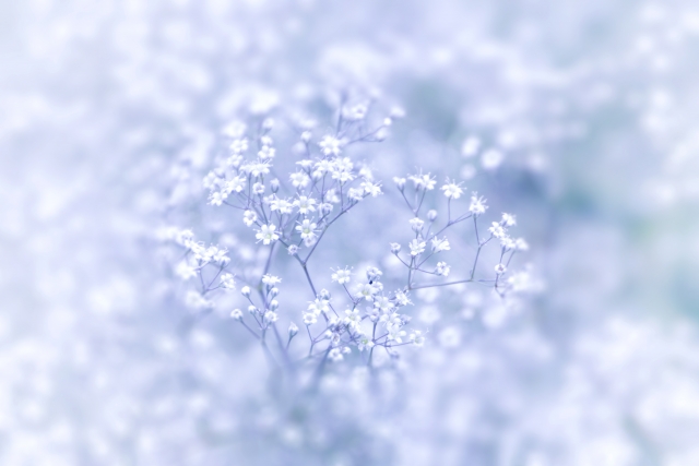 相続をさせる遺言と遺贈する遺言の違いとは？