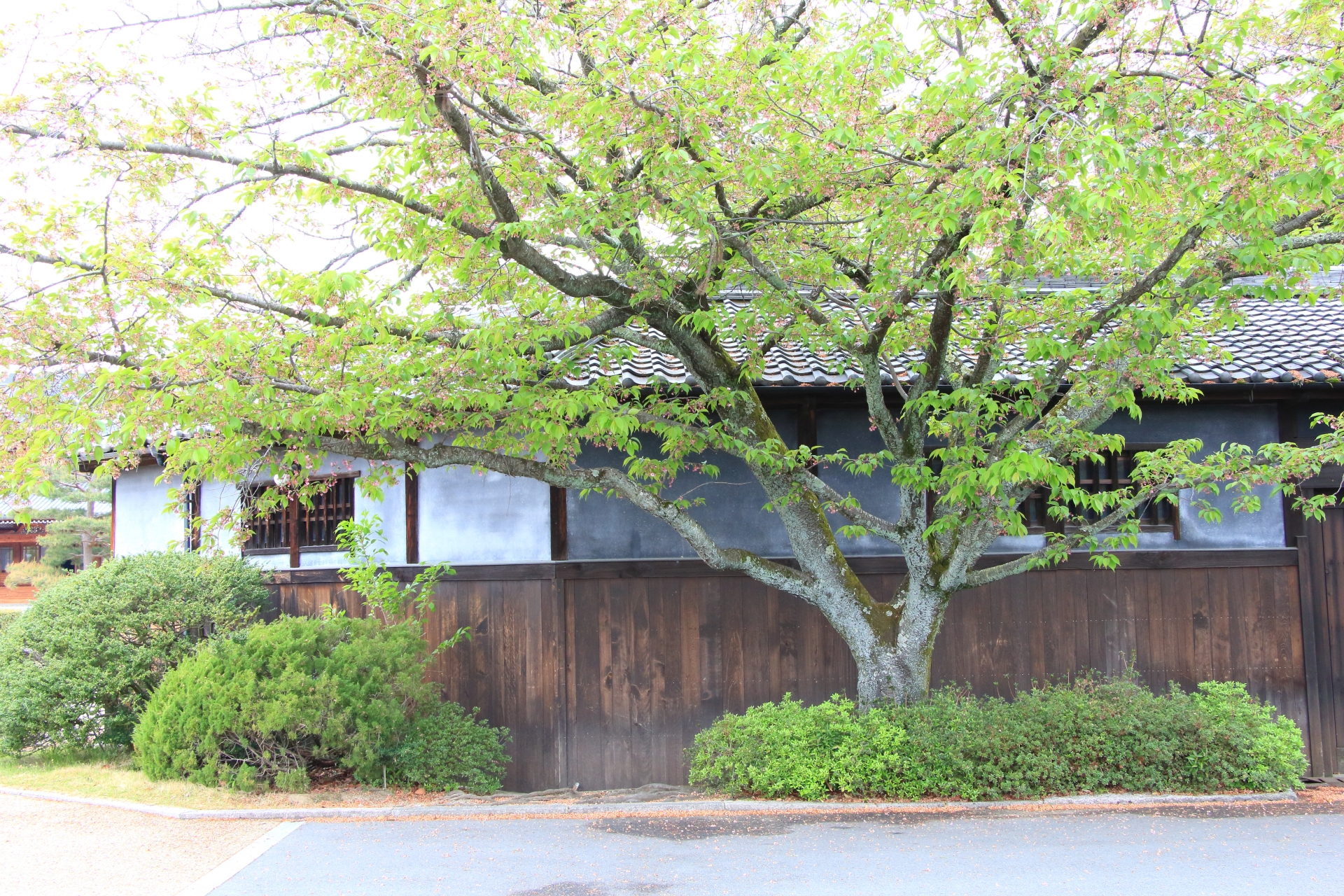 実家に将来住み続ける？それとも別に住居を構えて空き家にする？