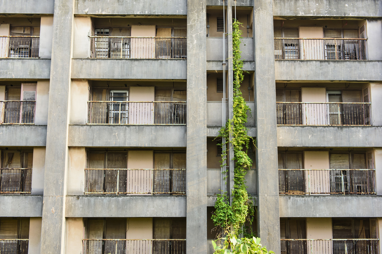 空き家が増えている！この問題を解決する対策とは？