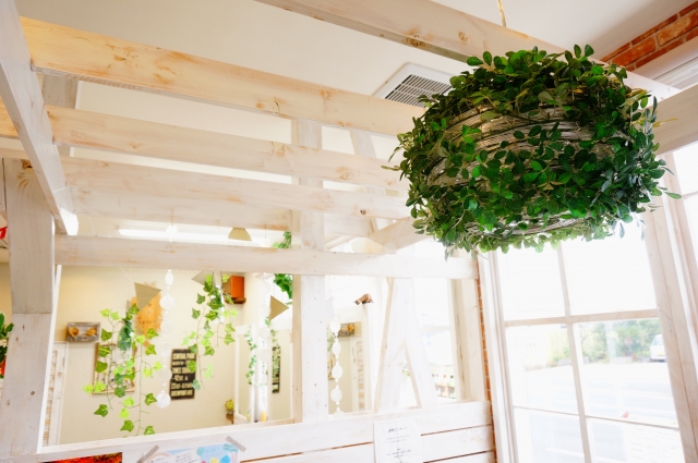 増加する空き地と空き家問題！なぜここまで増える？